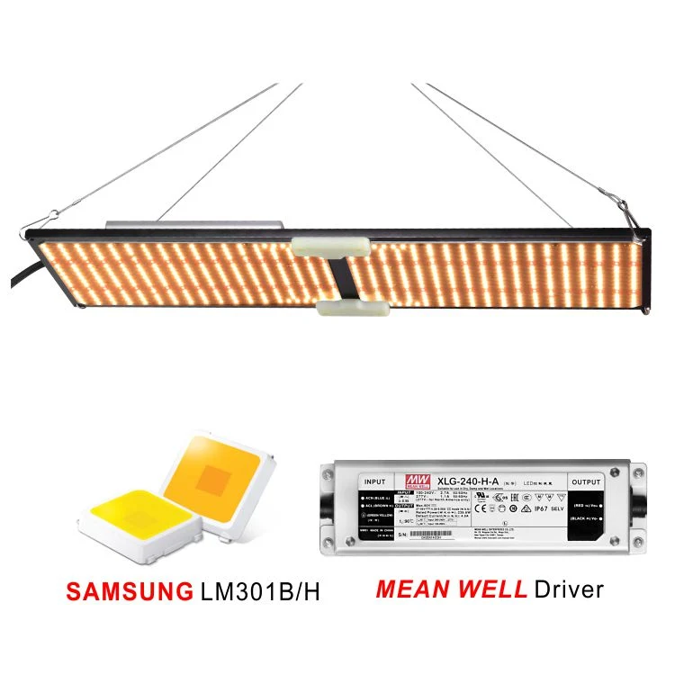 Qb288 240W High quality/High cost performance High Ppfd Optic Indoor Full Spectrum Quantum 200 W Watt LED Grow Light Dimmable Weed Plant Growth Commercial LED Plant Growing Light