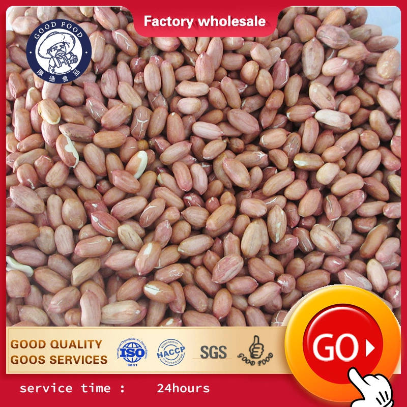 Customized Red Peanut, Blanched Peanut Kernels, Bold Peanuts Blanched Peanuts Raw Kernel Peanuts