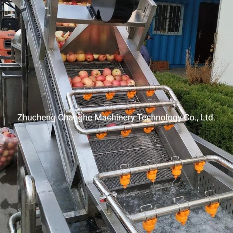 Lwt Fruit and Vegetable Processing Line Food Processing Machine Canned Fruit Vegetable Pet Food Plastic Crate Cleaning Machine