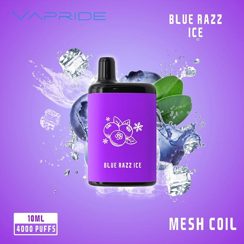 2023 Market New Trend 2000/4000/5000puffs Original Mesh Coil Disposable/Chargeable Vape Ecig