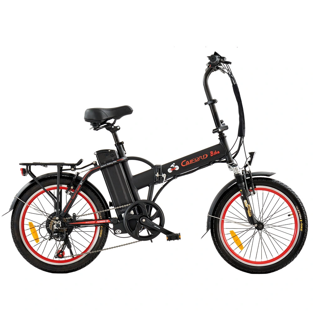 20inch Ebike Electrical Folding Bicycle Motor Mini Pocket Electric Moped Sepeda Listrik 100-240V on an Outing with Comfort Seat