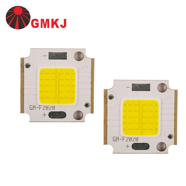 Chip on Board White Red Green Blue Color 3-100watt LED 20W 30W 50W High Power COB LED Chip