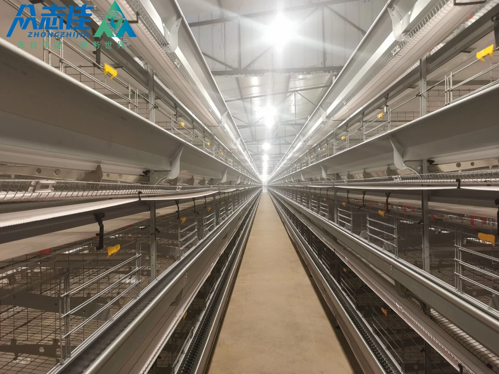 Type H automatique volaille matériel agricole couches cages de poulet pour Vente