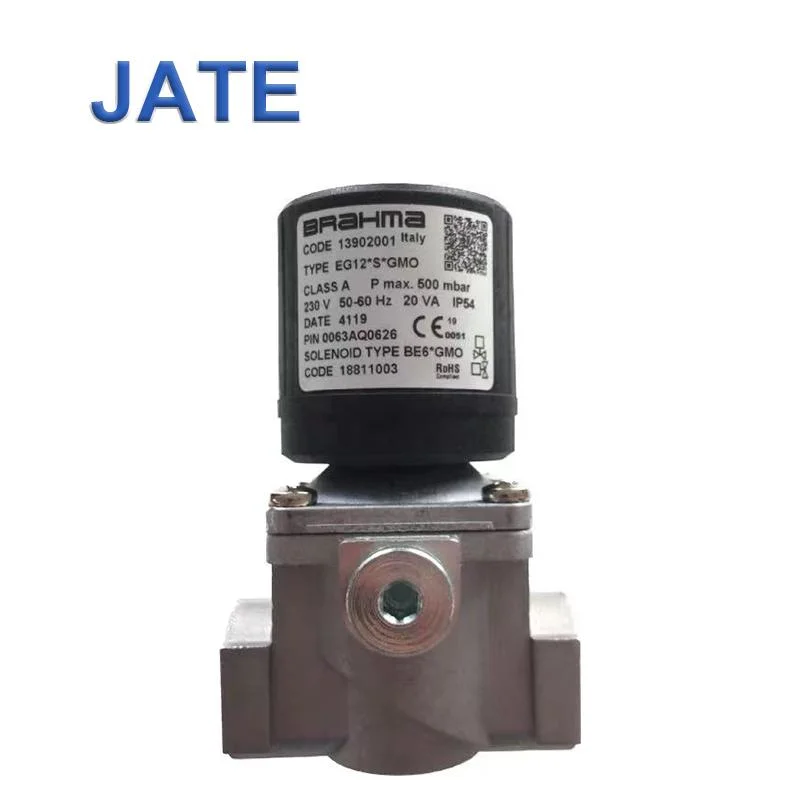 Brahma or Type Eg12 S GMO 13902001 Gas Solenoid Valve GMO Safety Solenoid Control Gas The Electromagnetic Valves for Burner Parts 220V AC