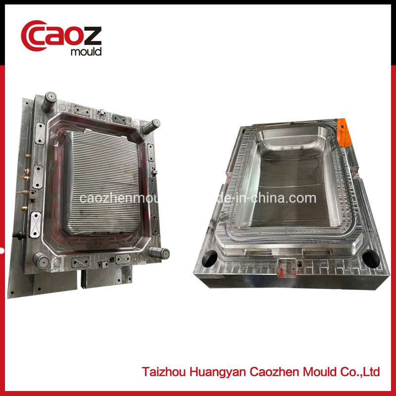 Plastic Suit Box/Luggage Injection Mould with Good Price