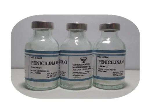Penicilina G potássica em pó CAS 113-98-4 de injecção