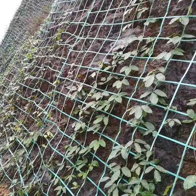 Escalada planta Net Trellis corda apoio Jardim plástico Trellis escalada Planta vegetal líquida para planta