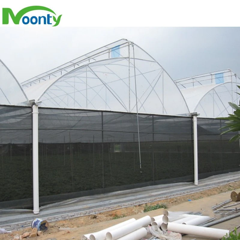 Commercial Agricultural Multispan Film Greenhouse with Roof and Side Ventilation