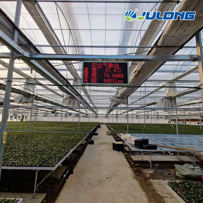 Commercial Multi-Span Tunnel Plastic Film Greenhouse Hydroponics Growing System for Tomatoes Cucumbers