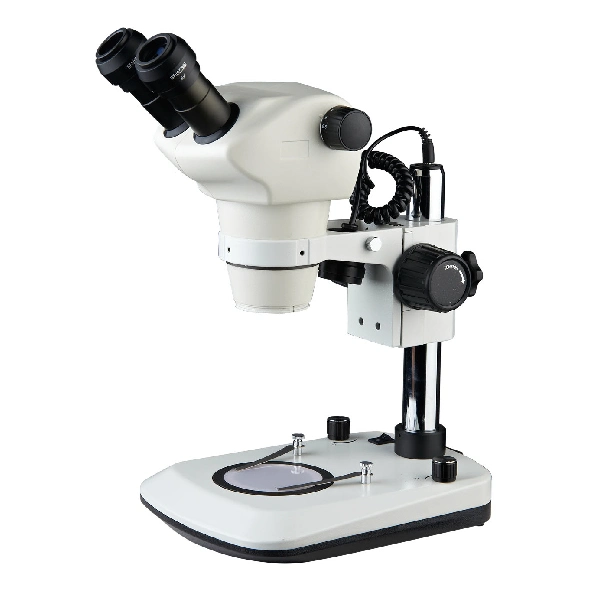 St8050t-B8ls Stereo Zoom Microscope