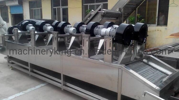 Vegetable Fruit Food Cooling Food Drying Production Line