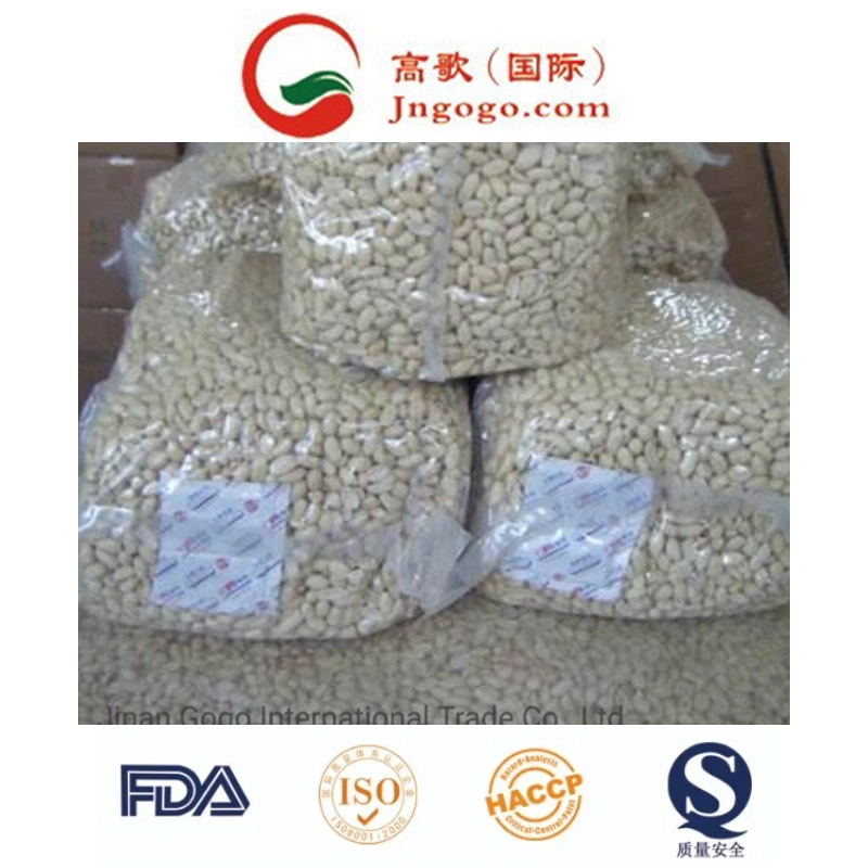 أعلى جودة/New Crop Shandong Peanut Kernel Peanut في شل