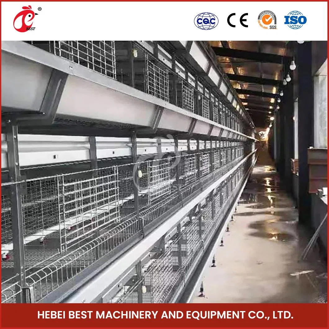 Bestchickencage China Livestock Chicken Cages Suppliers H Frame Automatic Boriler Cages OEM Custom Vacuum Siphon Principle Poultry Battery Cage