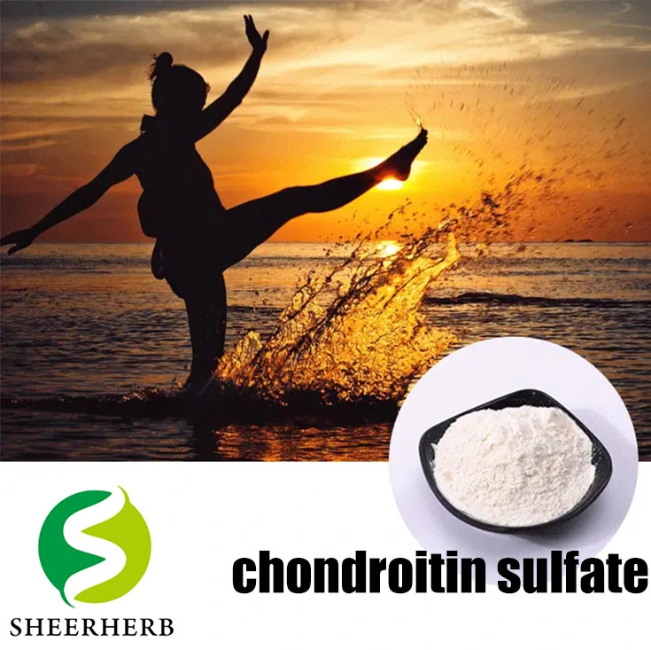 Le grade pharmaceutique de la chondroïtine 85 %~95% de Glucosamine Chondroitin supplément diététique