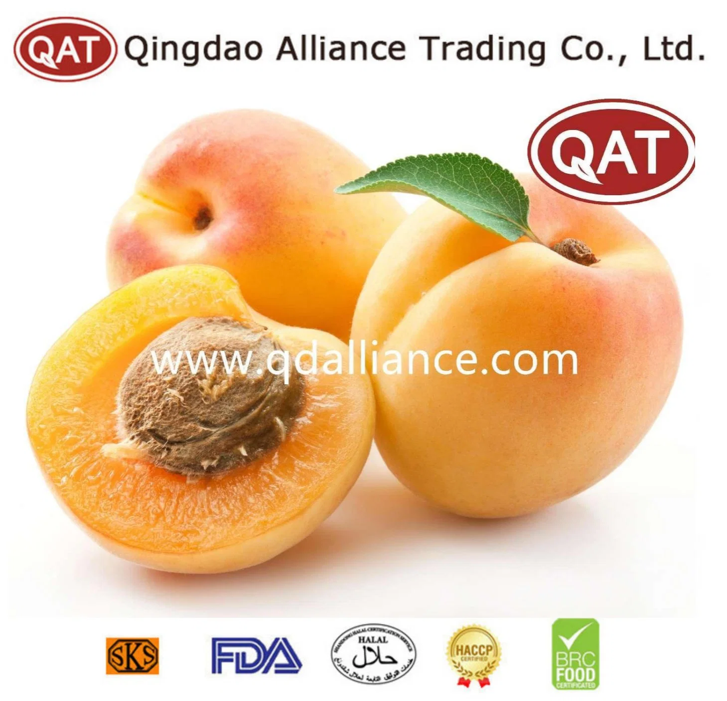 IQF Processing Line Organic Fruits High Quality Frozen Apricot Halve for Exporting