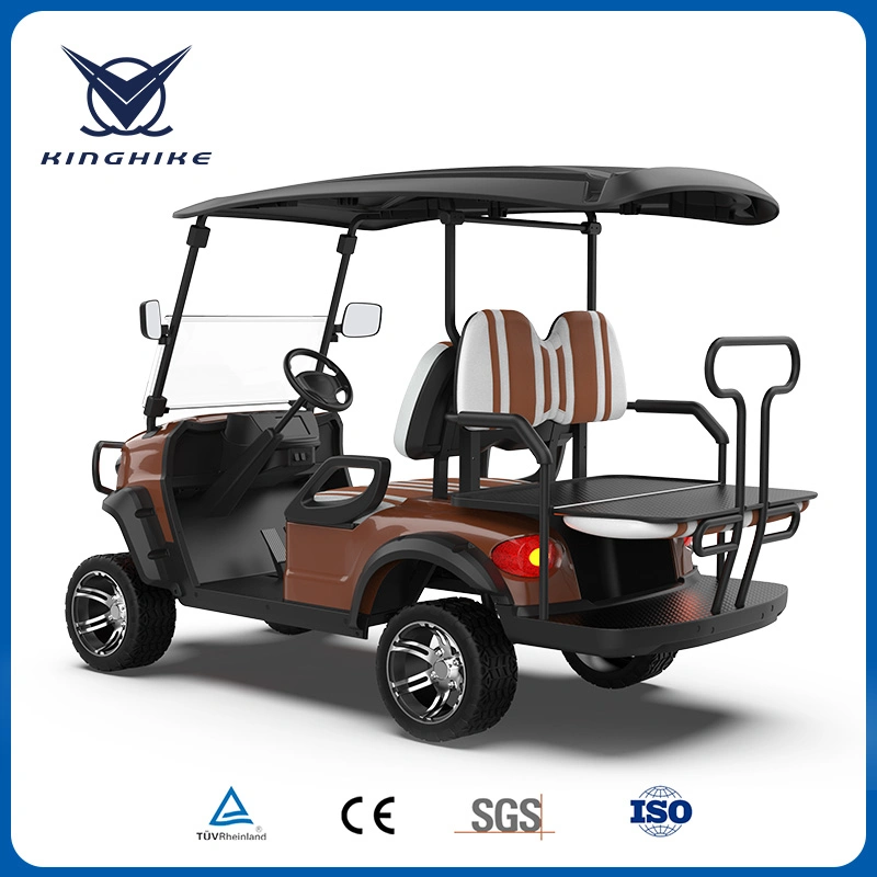 ISO Approved 3-4 Kinghike Packed and Loaded by Container Golf Cart Upgrades Vehicle