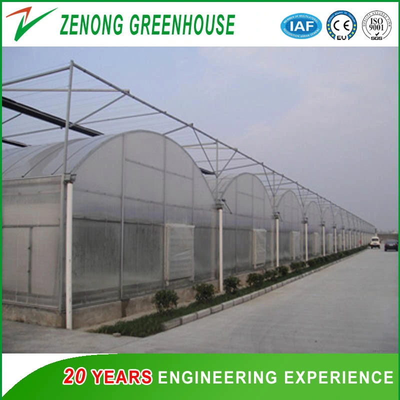 Chinese Factory Supply Film Commercial with Shading Net System for Lecture