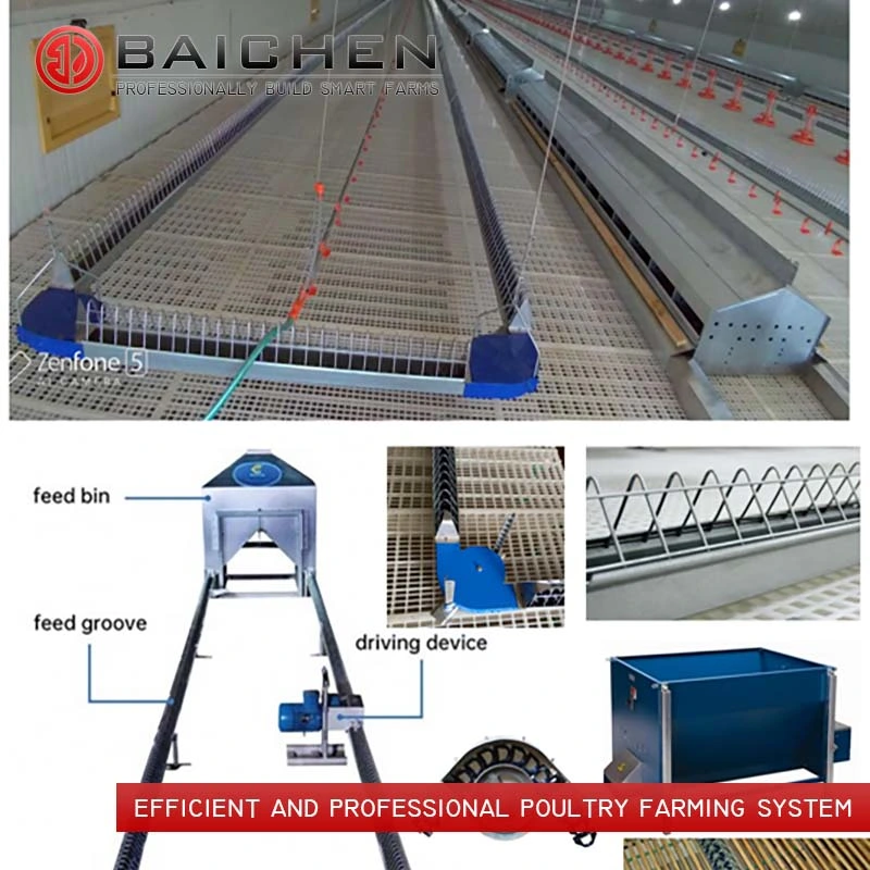 Equipos de la línea de alimentación de pollos de aves de corral el alimentador automático de la máquina sistema de cría de la granja