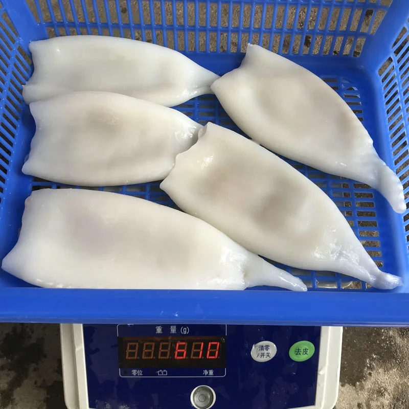 Замороженные кальмари Рыба морепродукты Illex ТодАРоды Gigas Squid кольца трубки