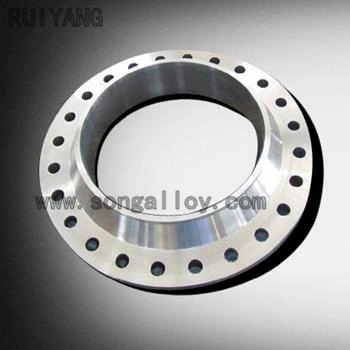 Stainless Steel Forged Flanges (PL, BL, SO, WN)