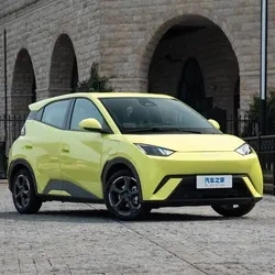 Coche eléctrico byd Auto Chngoodcar 2023 Gaviota volando Edition Nuevos Productos Los coches eléctricos del vehículo adultos