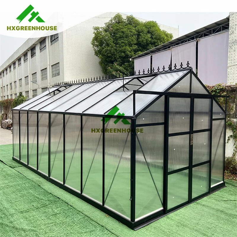 High Tunnel Greenhouse Steel Frame Hydroponic for Chickens