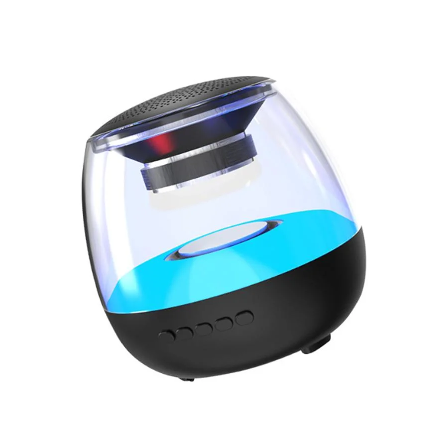 Transparent, RGB Light Outdoor Portable Bluetooth Speaker