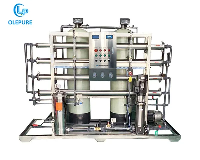 1-100 T/H Système de traitement de l'eau industrielle par osmose inverse Purificateur d'eau par osmose inverse