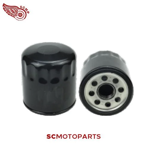 Motorcycleölfilter für Adv 6270028012-33301-4280