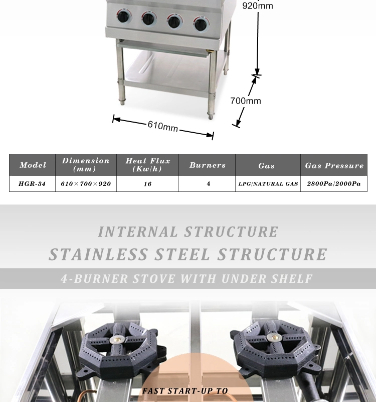 Flamemax Stainless Steel 6 Burners Stove (HGR-36)