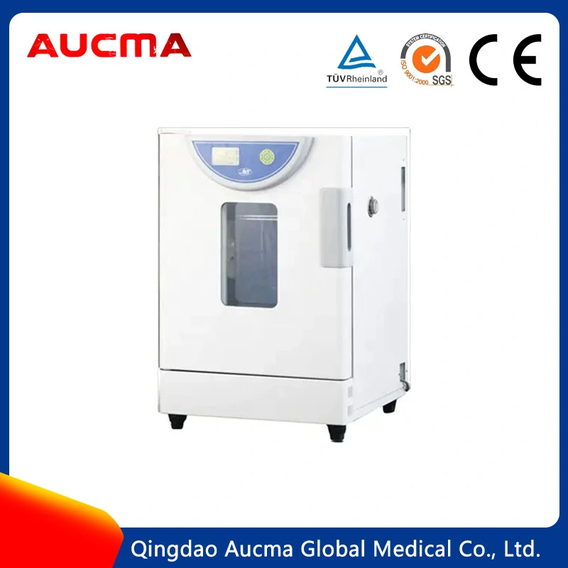 Laboratory Drying Oven Electric Motors Drying Oven Machine with LCD