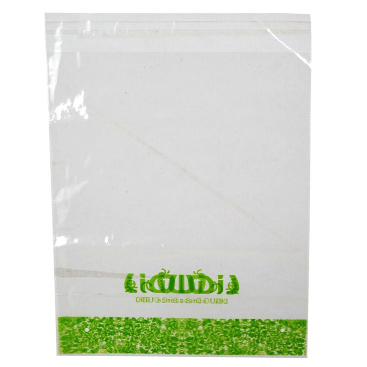 Branded High quality/High cost performance  Header OPP Resealable Plastic Bags for Garments (FLA-9509)