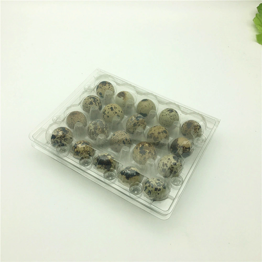 Disposable Plastic Quail Egg Tray Box