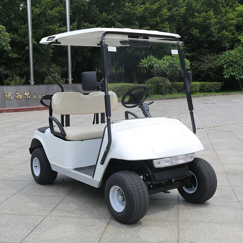 Popular Retro 4 Wheel 2 Seater Garden Vehicle Electric Golf Cart with Windshield (DG-C2)