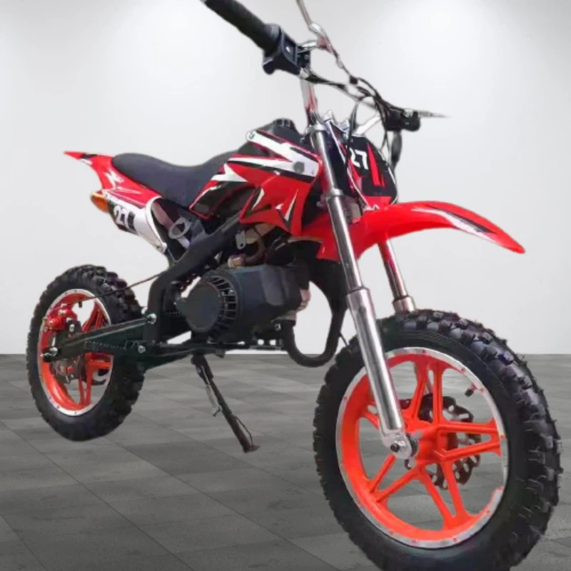 49cc Mini Factory Direct ATV Motorcycle for Kids