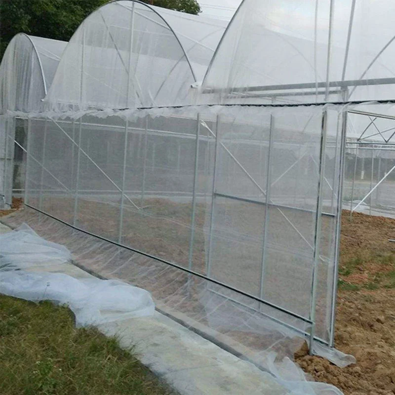 Guter Preis 100% HDPE UV Kunststoff transparent Gewächshaus Insekt und Moskito-Bildschirm Landwirtschaft Insekt Netz Netz Netz