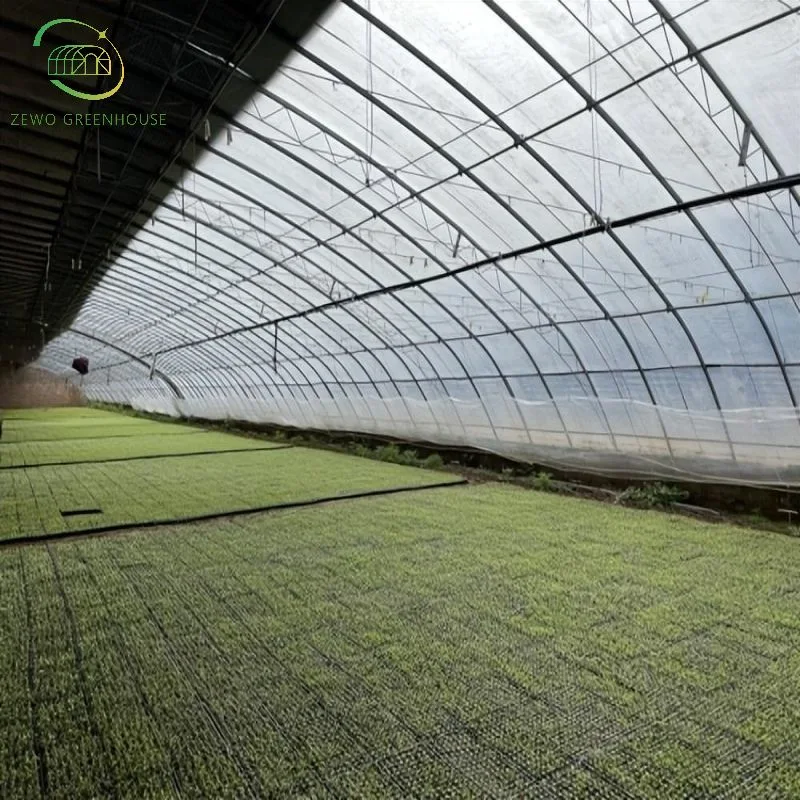 Hot Sale High-Quality Single Span Commercial Tunnel Plastic Film Greenhouse for Sale