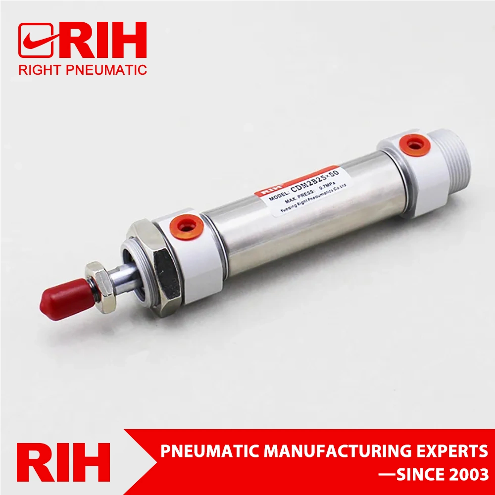 Rih Cm2bseries Guide Double-Shaft Twin-Rod Air Pneumatic Cylinder