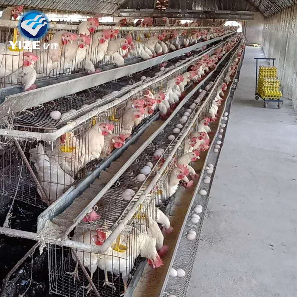 Capa de aves Granja jaula de pollo Single a Tipo caliente-sumergido Galvanizado Alimentador grande