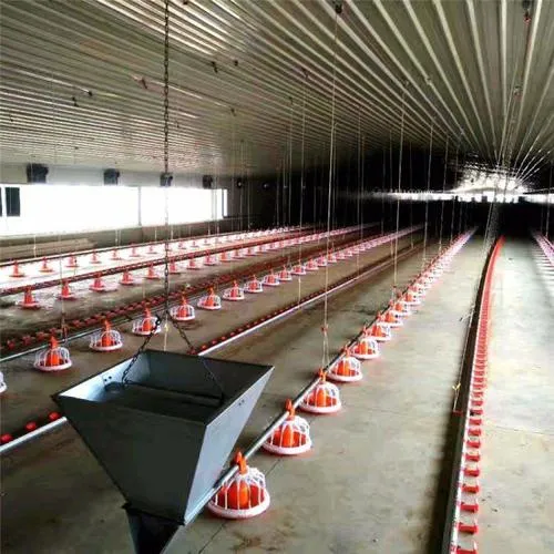 Automatic Poultry Farm Chicken House Coop Livestock Feeder Pan Chicken Feeding and Drinking System for Broiler Layer