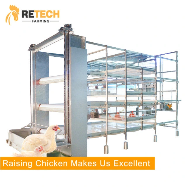 Factory Selling Chicken Cage& for Layer,Broiler, Pullet