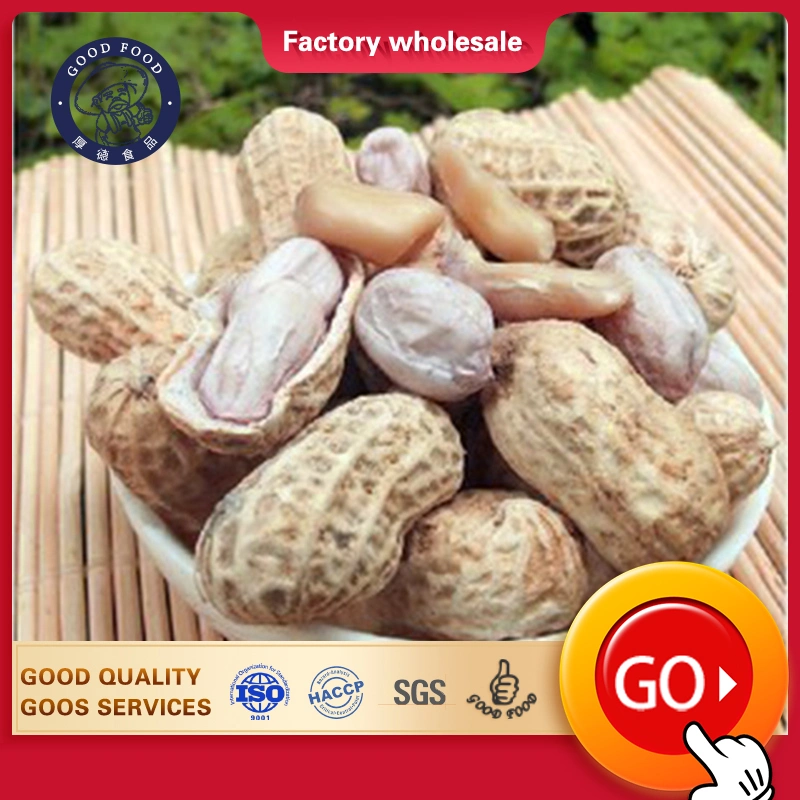 Chinese Factory Wholesale Roasted Salted Peanut with Reasonable Price