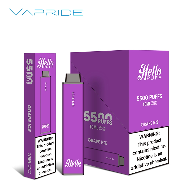 Hot 5500 Puff Vapes E Cigarette OEM Vaporizer Disposable/Chargeable Electronic Cigarette Wholesale/Supplier Vape Pen