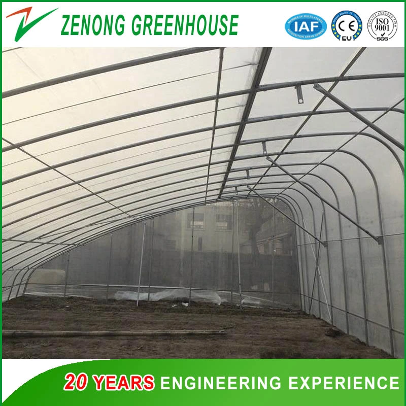 Heat Insulation Solar Greenhouse for Agriculture Planting in Winter