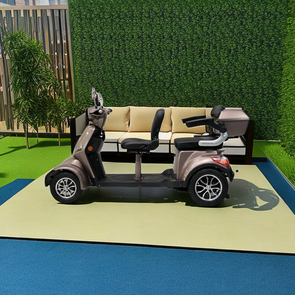 Nouveau véhicule de mobilité tricycle électrique adulte Loisirs voiture de batterie Passager porteur de bagages à 2 places
