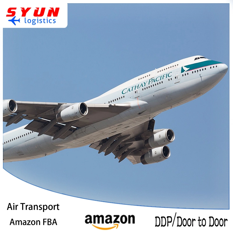 China to France Fba Air Freight Door-to-Door/DDP Service