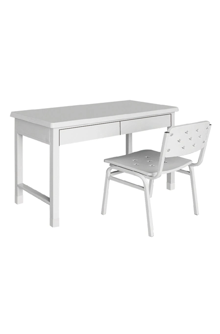 Camping Furniture Metal Study Desk and Chair