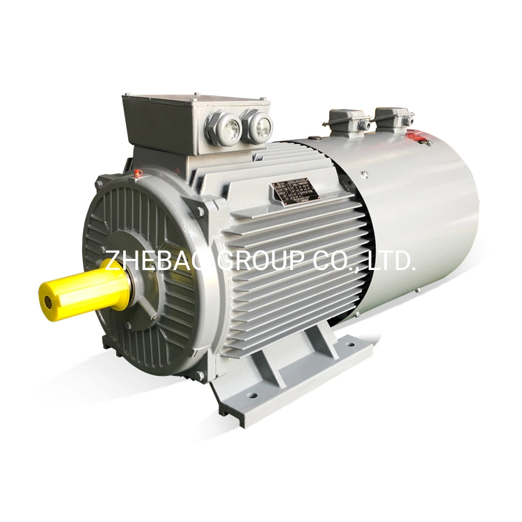 45kw Low Voltage Variable Frequency Speed Adjustable AC Induction Motor