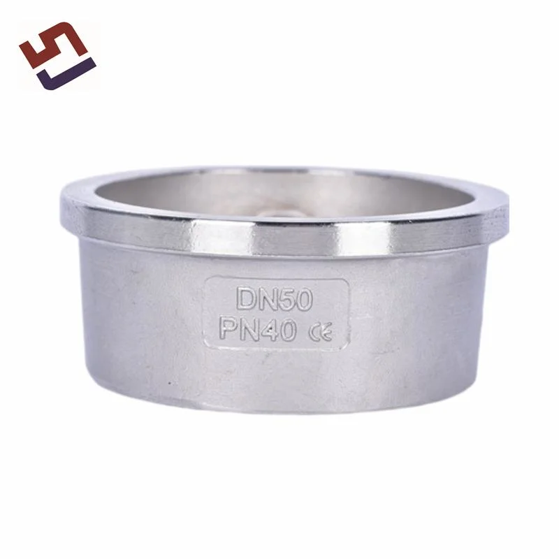Stainless Steel Single Disc Wafer Check Valve Casting Body