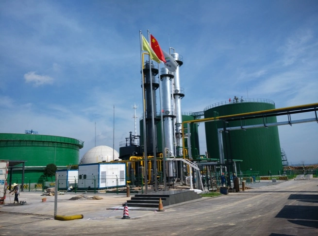 Biogas -Natural Gas Upgrading/Purification/De-Carbon/Clean System Plant